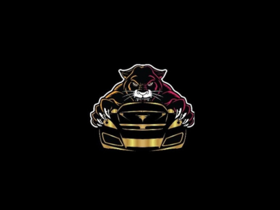 Detailing Panthers - Best PPF Coating in Gurgaon